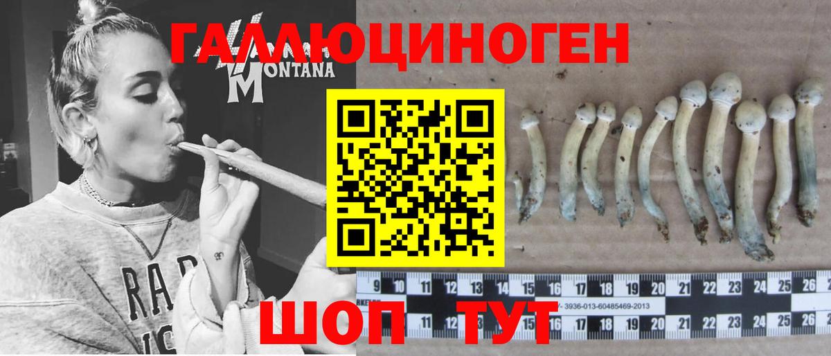 Псилоцибиновые грибы прущие грибы Тулун